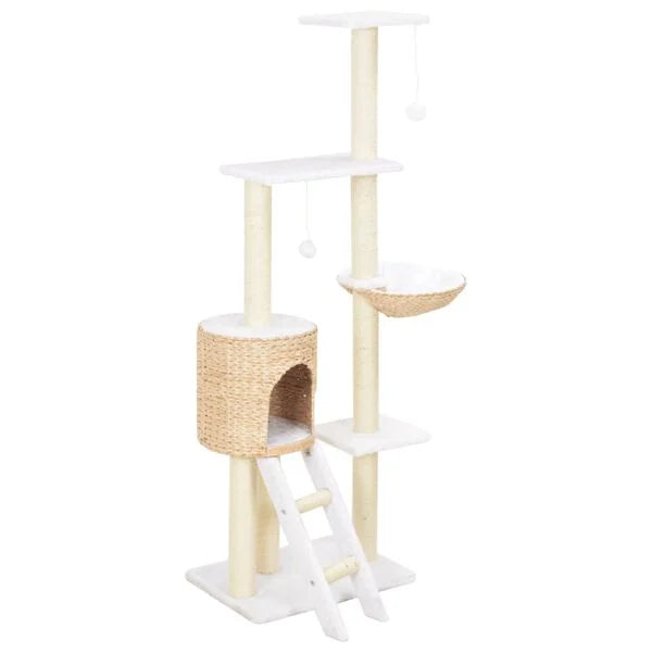 Arbre à chat en herbiers marins 146 cm avec échelle
